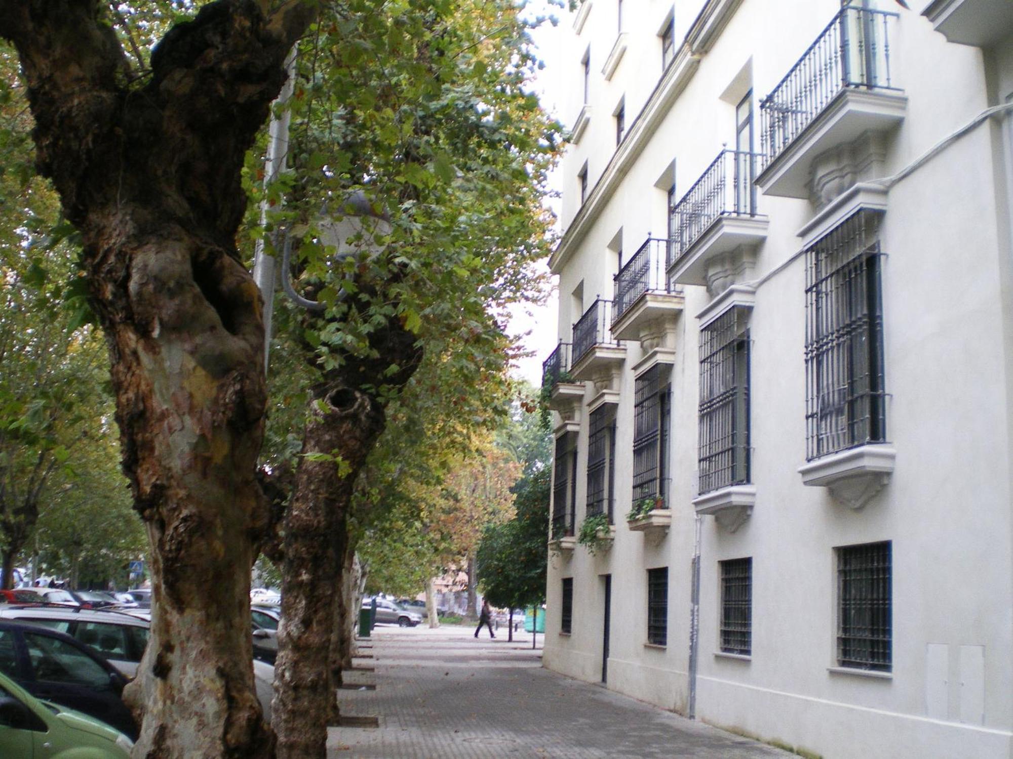 Apartamentos Murallas De Sevilla — Photos 3